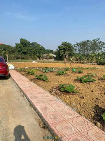 Tìm người yêu cho nàng hậu tại Hòa Thạch, Quốc Oai - Giá chỉ vài triệu/m2, diện tích 382m². Xem ngay để cảm nhận sự hấp dẫn!