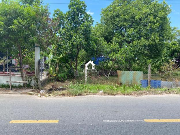 Bán đất mặt tiền đường Nguyễn Hữu Thọ, diện tích 196 m2, tại Hiệp Ninh, TP Tây Ninh.