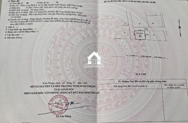 Đất 3 Mặt Tiền Đường Đôi Long Bình (TN Thống Nhất) Tại Ngã Ba Giao QL1A