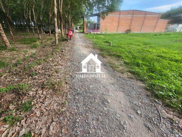 Bán đất diện tích 133 m2 tại Trường Hòa, Hòa Thành.