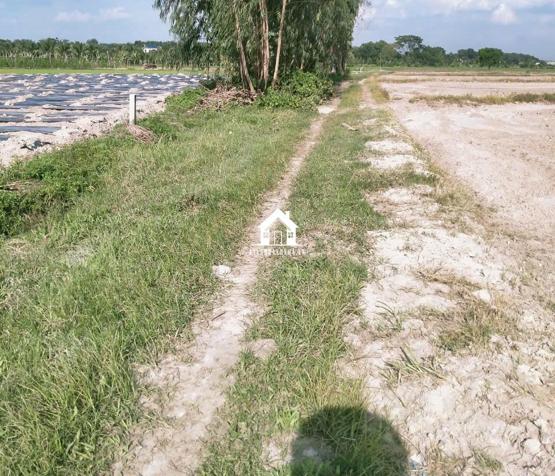 Bán đất diện tích 168 m², thổ cư 90%, tại xã Long Khánh, huyện Bến Cầu.