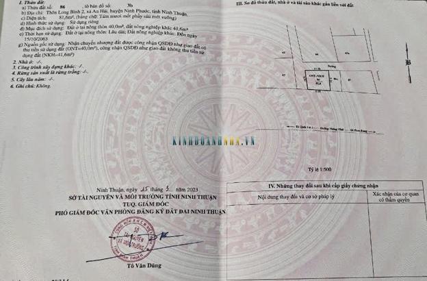 Đất 3 Mặt Tiền Đường Đôi Long Bình (TN Thống Nhất) Tại Ngã Ba Giao QL1A.