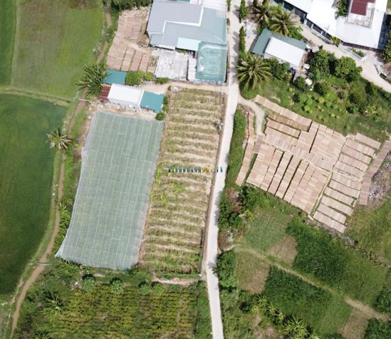 Đất Nền Đẹp 120m2 Gần Đường TL708, Thích Hợp Cho Phân Lô Biệt Thự Vuông Vức