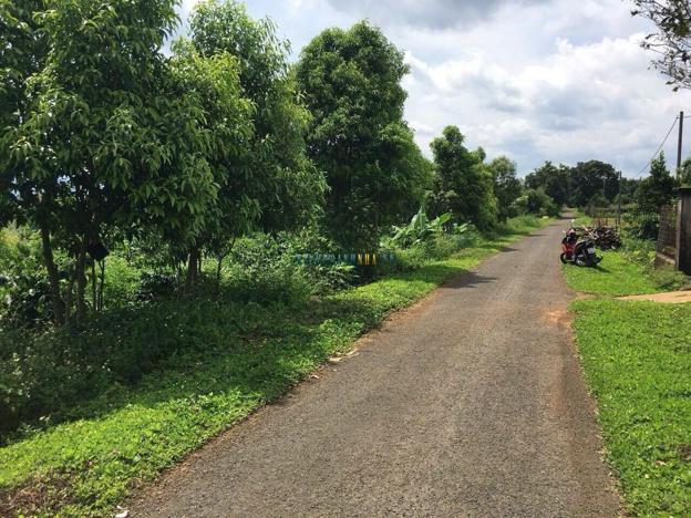Bán đất 1241m² giá 449 triệu tại Xã Ia Bă, Huyện Ia Grai.