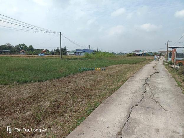 Bán đất 115m² giá 450 triệu tại Xã Tân Phước Tây, Huyện Tân Trụ.