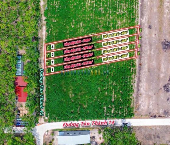 Bán đất 300m² giá 239 triệu tại Xã Tân Thành, Huyện Tân Châu.