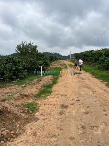 Bán đất 1200m² giá 799 triệu tại Xã Phúc Thọ, Huyện Lâm Hà.