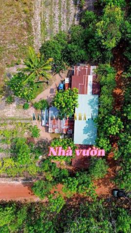 Bán đất 194m² giá 450 triệu tại Xã Tân Hội, Huyện Tân Châu.