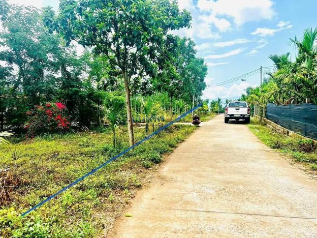 Bán đất thổ cư 6000m² tại Xã Ea BHốk, Huyện Cư Kuin giá 2.15 tỷ.