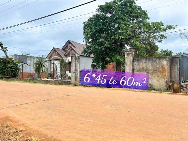 Bán đất 269m² giá 379 triệu tại Xã Dray Bhăng, Huyện Cư Kuin.