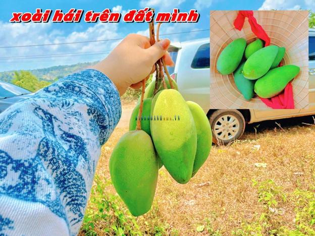 Hình ảnh
